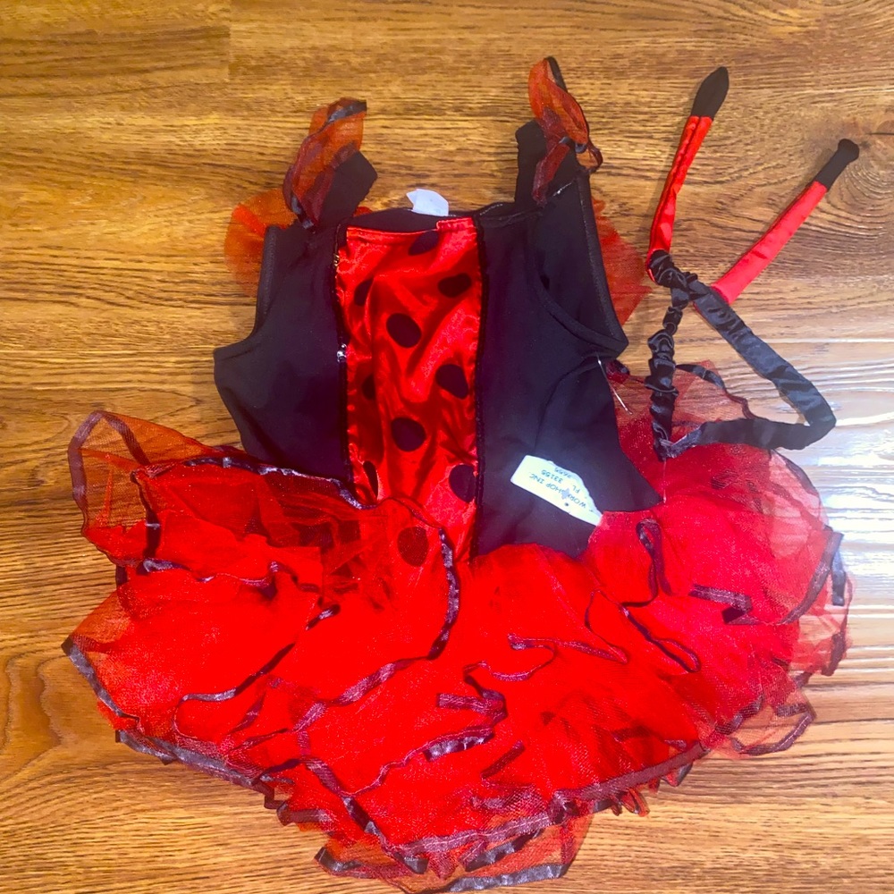 ladybug costume size 6x/8
